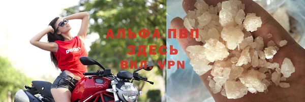 прущий лед Вяземский