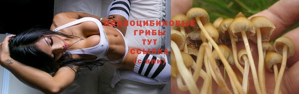 а пвп мука Волосово